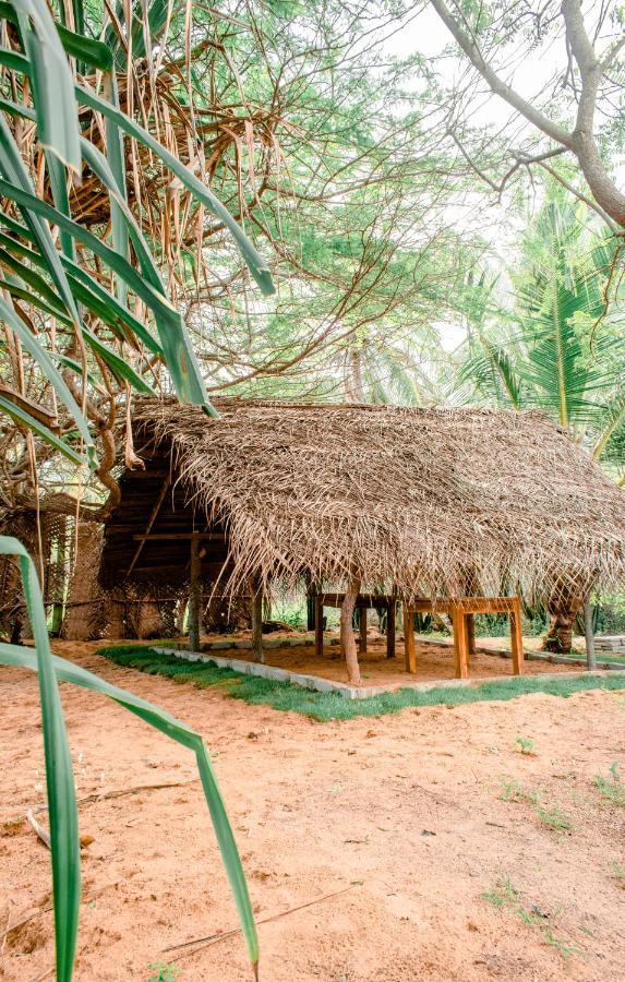 Sarada Beach Resort Yala Тиссамахарама Экстерьер фото