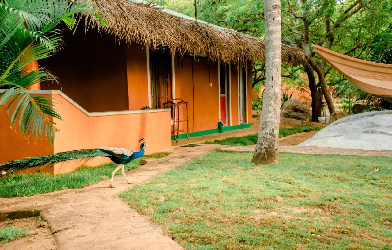 Sarada Beach Resort Yala Тиссамахарама Экстерьер фото