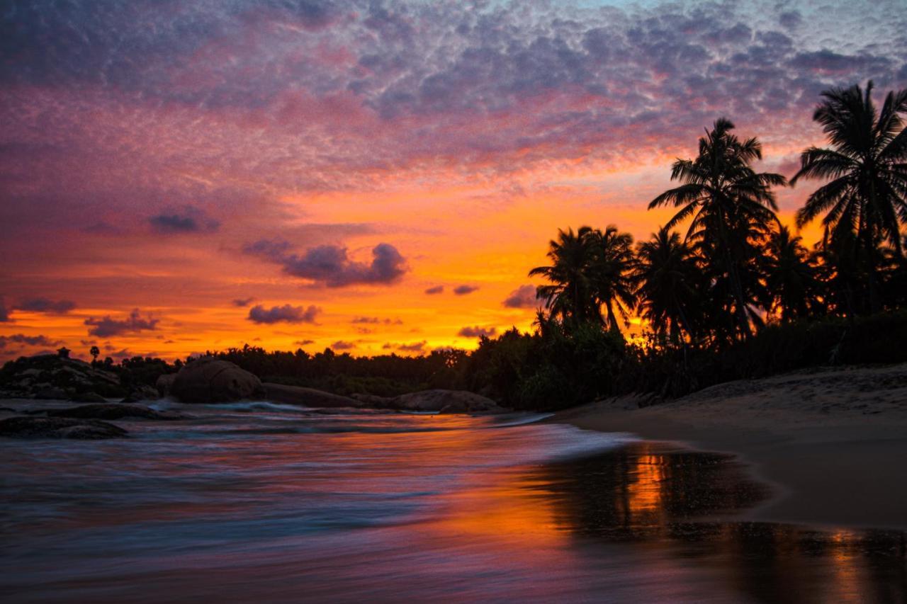 Sarada Beach Resort Yala Тиссамахарама Экстерьер фото